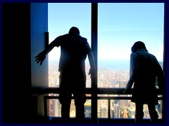 Views from Sears Tower 63